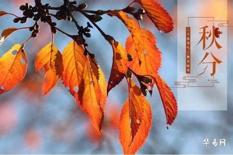 那为什么会有1、3、5、7、8、10、腊,31天永不差的说法？