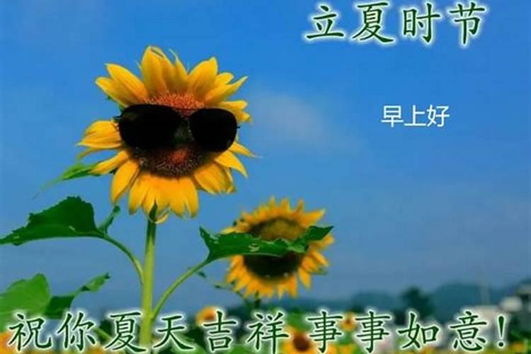 生肖兔2025年运势 属兔2025年运势及运程