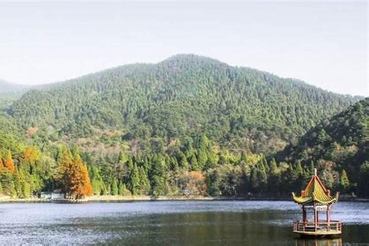 宁波夏至吃什么