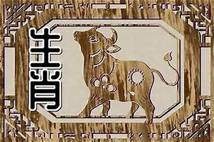 狗马属相合吗具体怎么解释,属马和属狗的八字合吗？