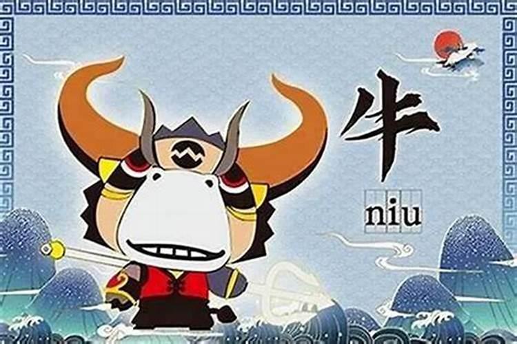 属牛36岁本命年要注意什么,属牛36岁生日有什么讲究
