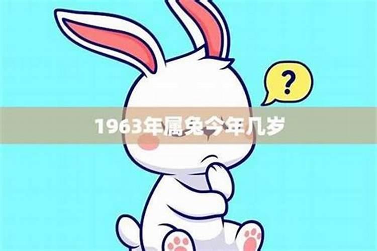 属猪和属鼠的合不合