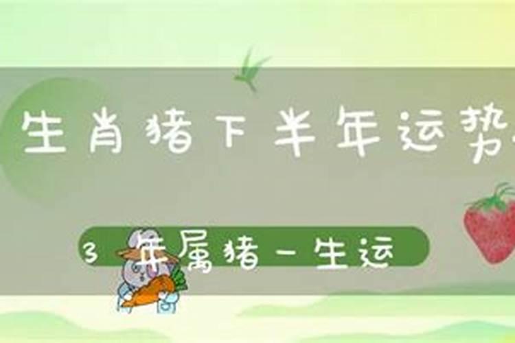 重阳节是传动节日吗