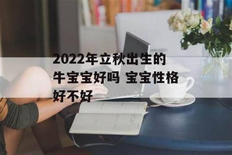 2025生肖鸡的运势大全