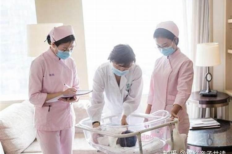 2025属鸡人的全年运势及运程如何