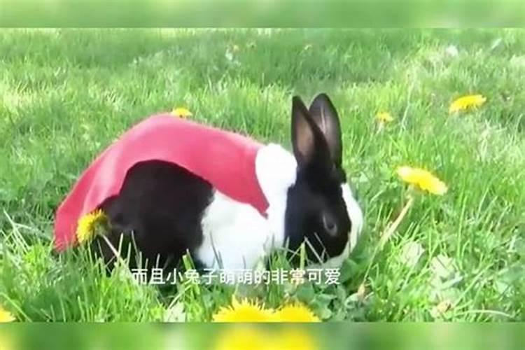 文昌塔什么材质的最有灵性