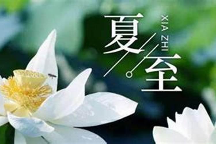 阳江过冬最建议居住的地方