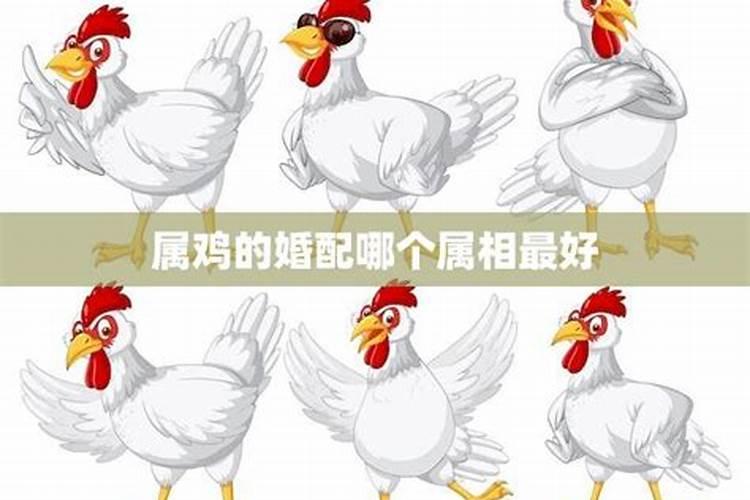 四种太岁哪个最严重,本命年分析？