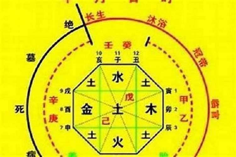 怎么看什么命金木水火土