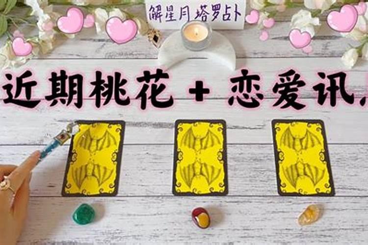 2025年桃花运遇到真爱的生肖