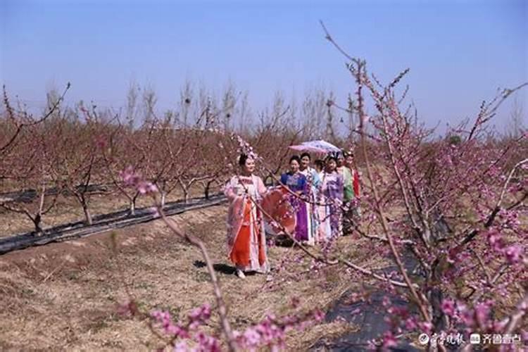 2025年必走桃花运生肖