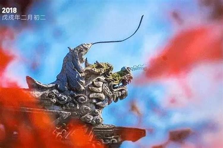 二月出生属马人的运势