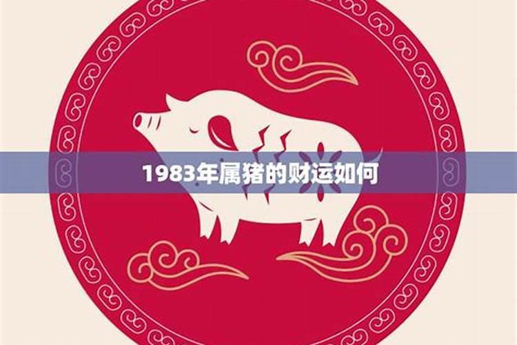 83年属猪人一生运势分析
