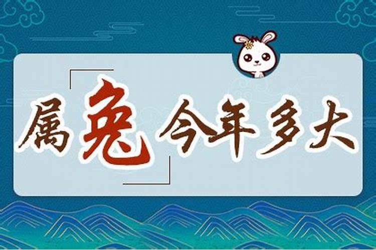 属兔2024年岁数表 属兔的今年多少岁2024