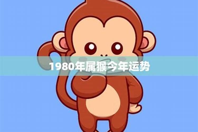 80年的猴今年运气如何