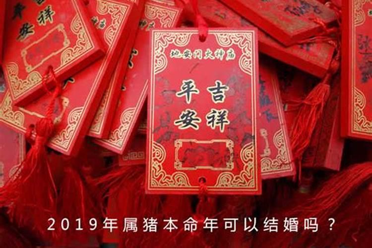 1995年属猪本命年结婚好吗,1995年属猪命好不好