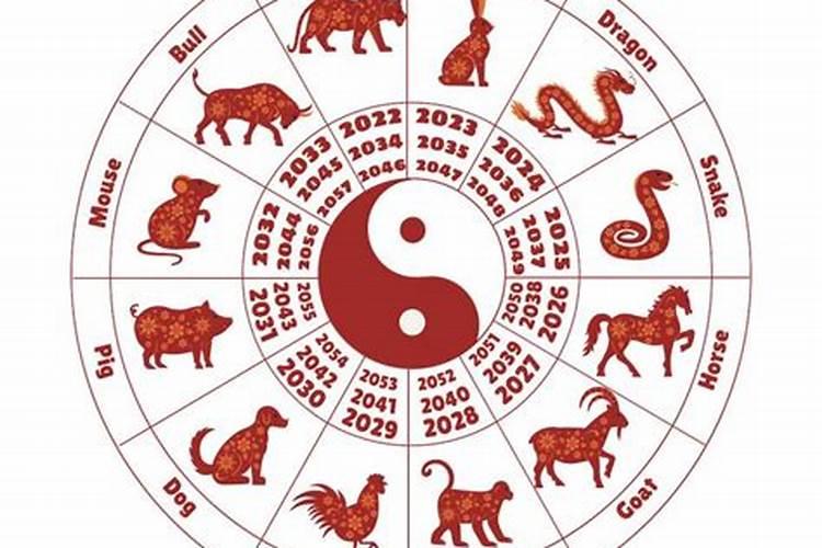 2025属龙人全年运势详解