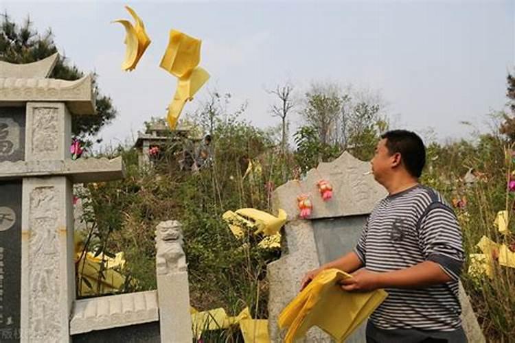 求大师帮助:野猫在家门口叫...