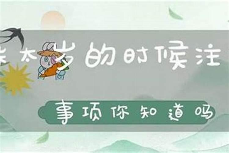 2024年属羊人的全年运势1979出生