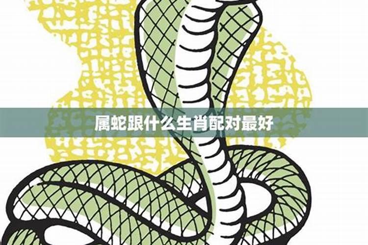 2001年属蛇男和什么属相婚配最好 看好生肖再做选择