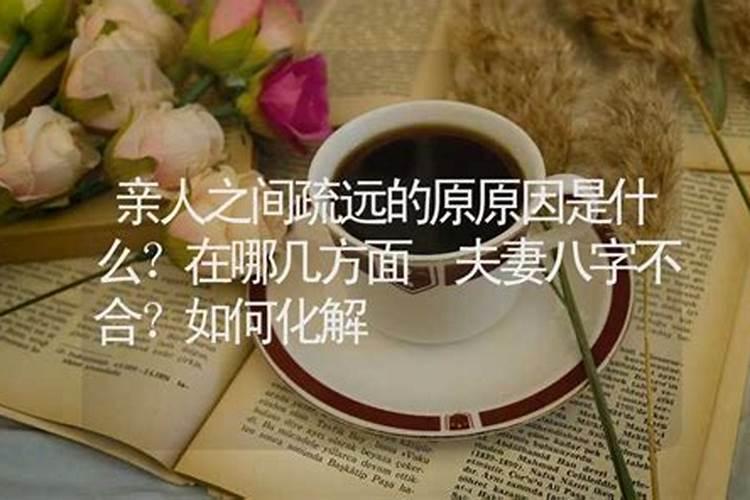 2025年属龙人一生命运