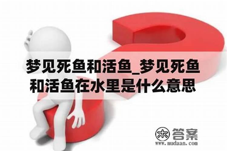 属龙12月份出生的男孩名字龙年满分男孩名