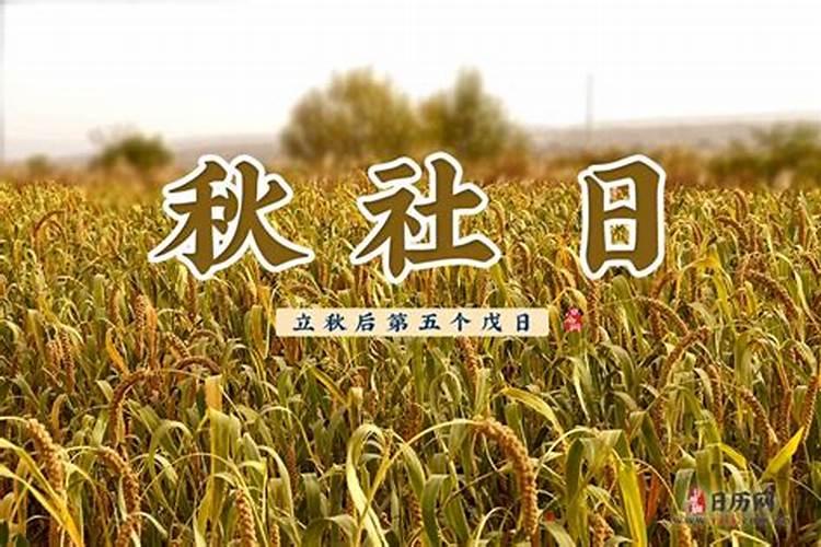 八月戊日是哪一天