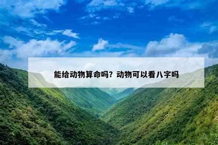 本命年,真的即使犯太岁都不能参加红白喜事吗？