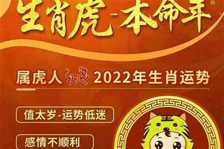 属虎的人哪年犯太岁在猴年和蛇年犯太岁？