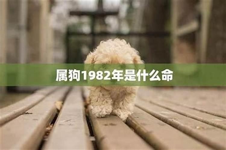 冬至节气的是什么意思