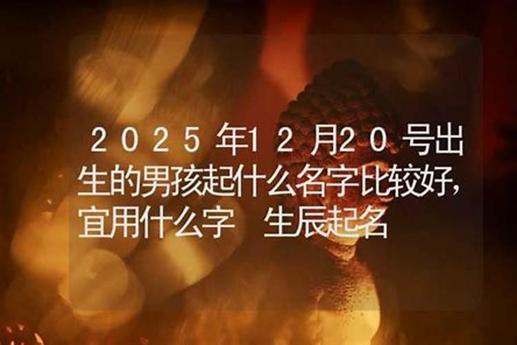 猪和鼠的婚姻到底好不好