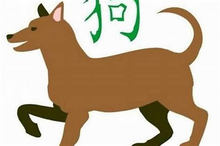 属狗的和什么属相最配