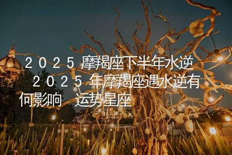 摩羯座2025年运势详解