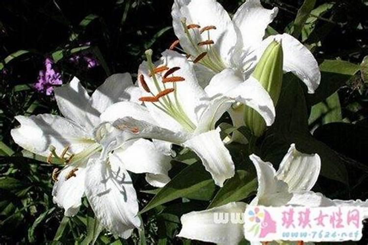 一般感情破裂,让道士做法事。会有效果吗