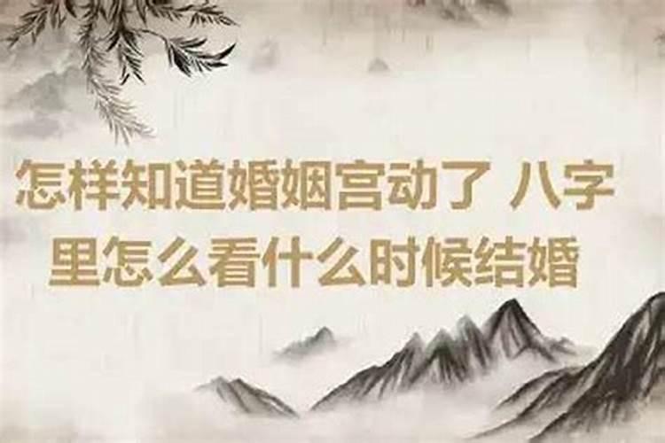 婚姻宫动了是什么意思