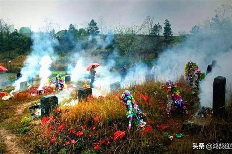 1991年出生是什么生肖,到现在是多少岁？