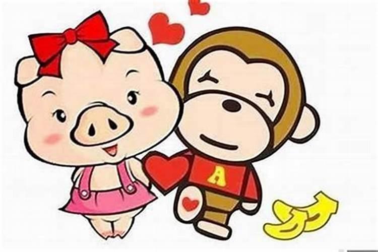 92男猴95女猪婚配破解,92猴95猪八字破解