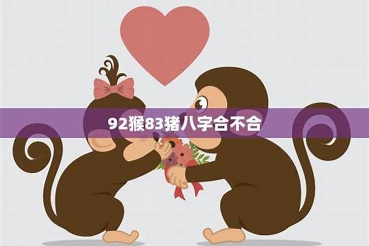 蛇跟蛇属相合不合