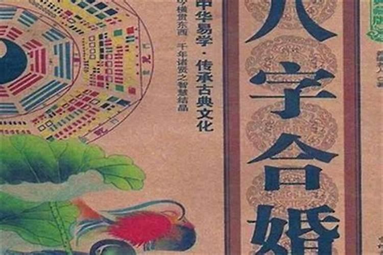 2002年属马人2025年运程