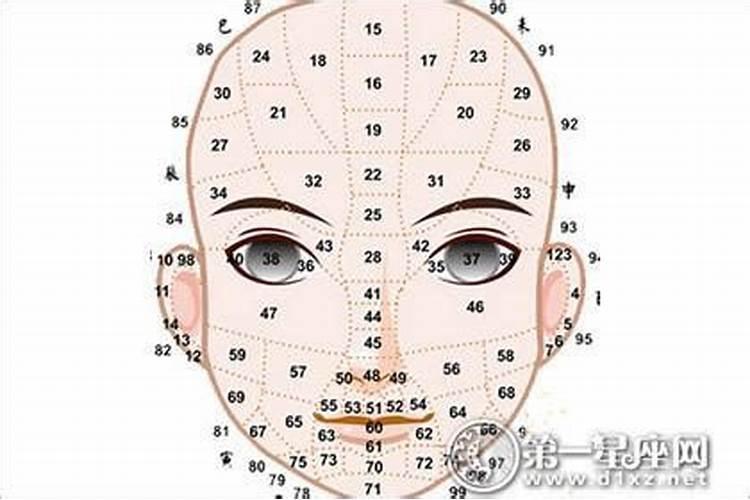 面相上哪里代表30岁到以后的命运？谢谢