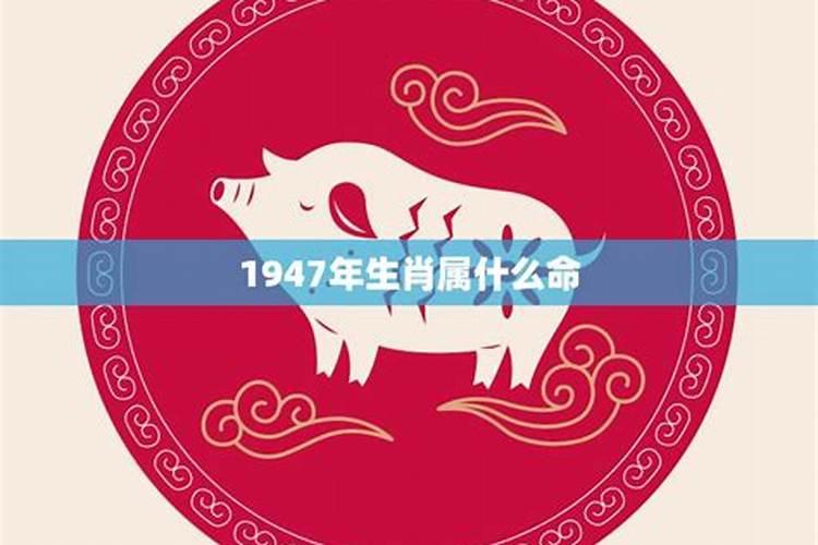 生肖猪1947年2025年运势如何 生肖猪1947年2025年全年运势