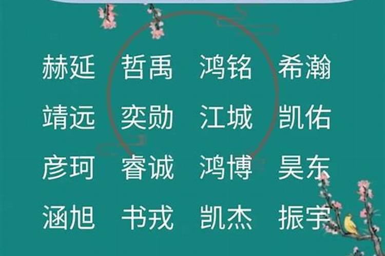 重阳节出生的男孩取名
