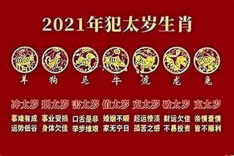2025属蛇的全年运势运程 属蛇人2025年每月运势