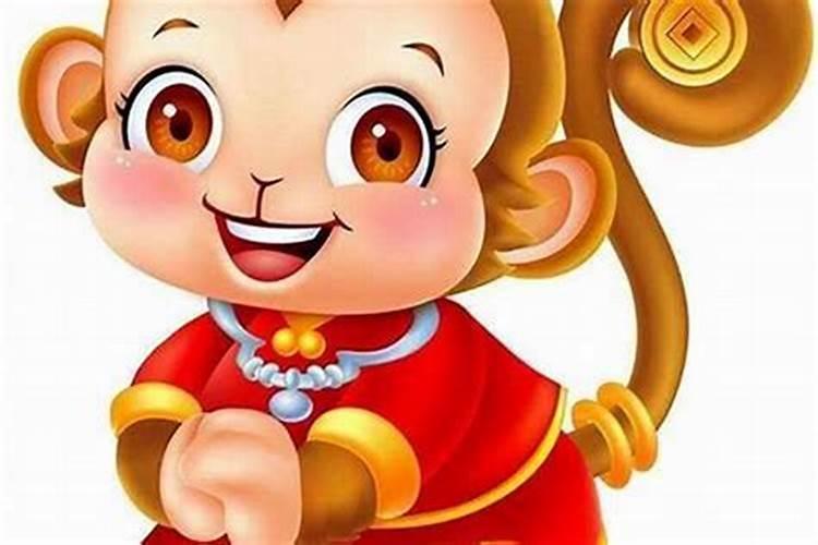 属兔和属猴合不合