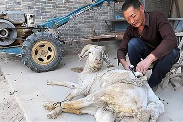 梦见我和儿子同时掉水里又被去世的前夫拯救什么意思？