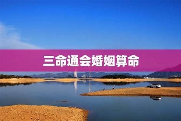 1989年蛇本命年穿什么颜色