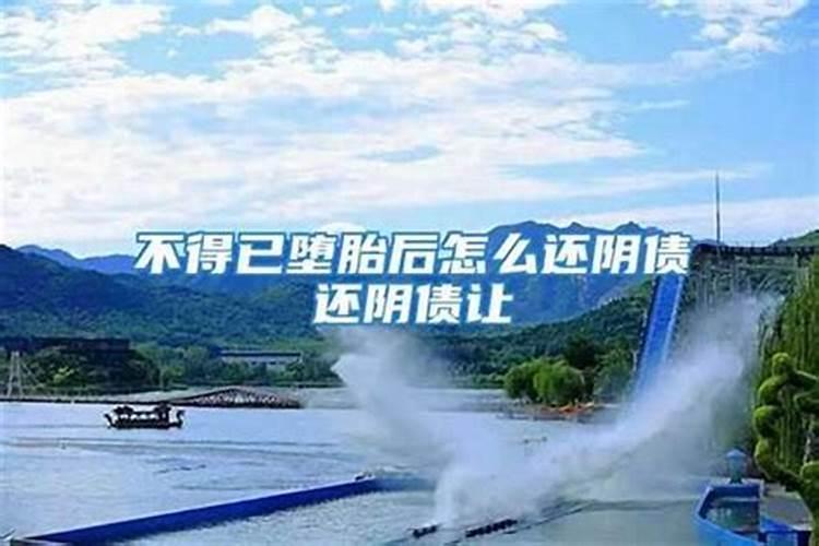 属马的什么颜色最旺2023,属兔和什么属相最配