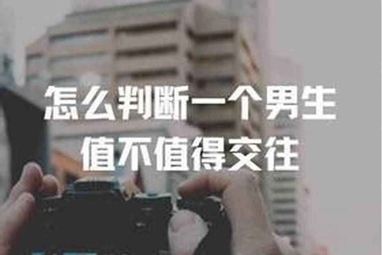 梦见两头牛同时撞我