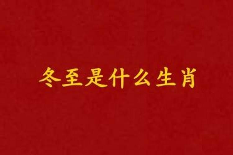 冬至生日的人好不好