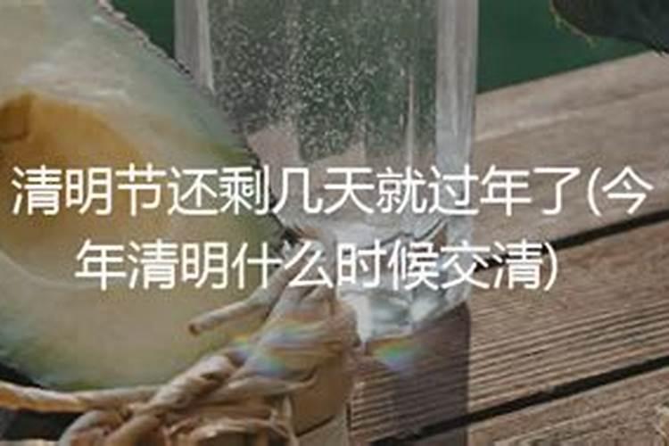 今年清明为何是4月4日